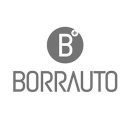 Borrauto Concessionaria